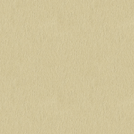 Brunschwig & Fils Autun Mohair Velvet Fabric / Pearl