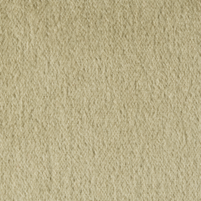 Brunschwig & Fils Autun Mohair Velvet Fabric / Eucalyptus