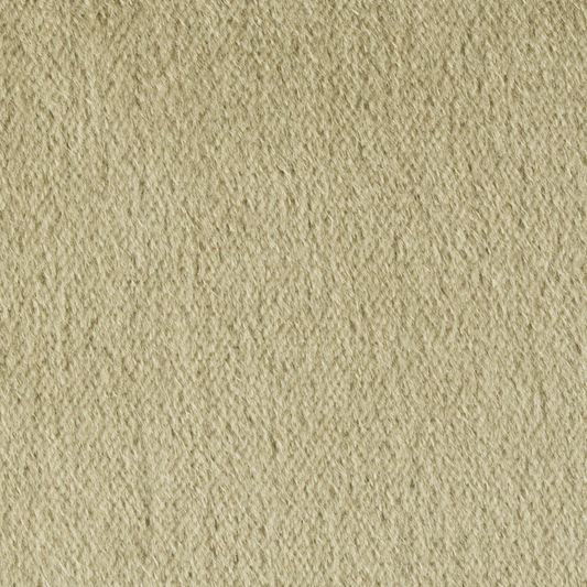 Brunschwig & Fils Autun Mohair Velvet Fabric / Eucalyptus
