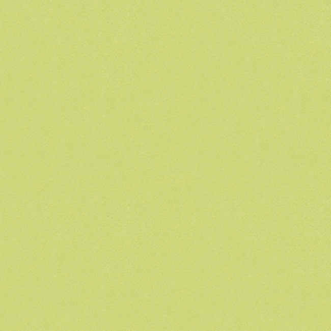 Brunschwig & Fils Autun Mohair Velvet Fabric / Celery