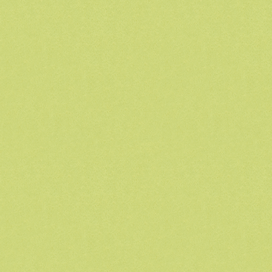 Brunschwig & Fils Autun Mohair Velvet Fabric / Celery