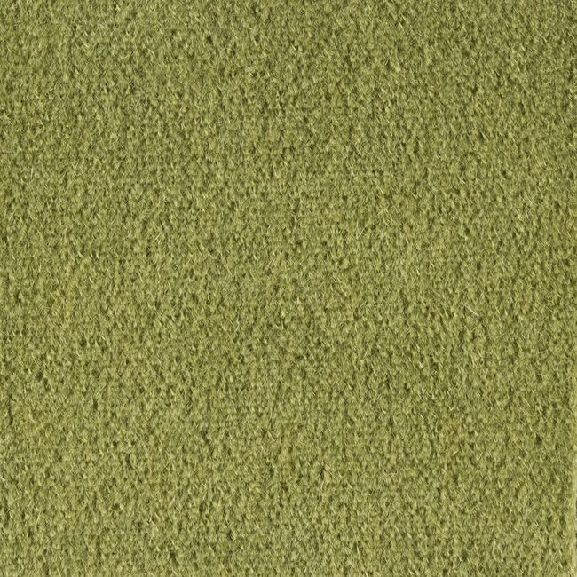 Brunschwig & Fils Autun Mohair Velvet Fabric / Leaf