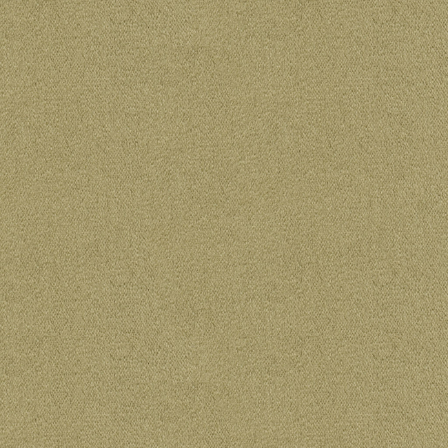Brunschwig & Fils Autun Mohair Velvet Fabric / Dove