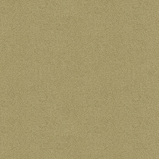 Brunschwig & Fils Autun Mohair Velvet Fabric / Dove
