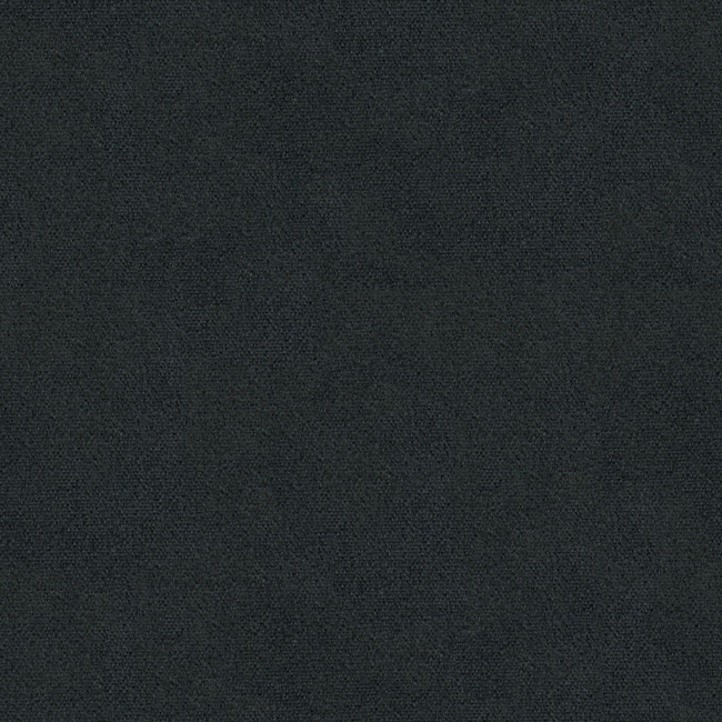Brunschwig & Fils Autun Mohair Velvet Fabric / Coal