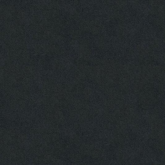 Brunschwig & Fils Autun Mohair Velvet Fabric / Coal